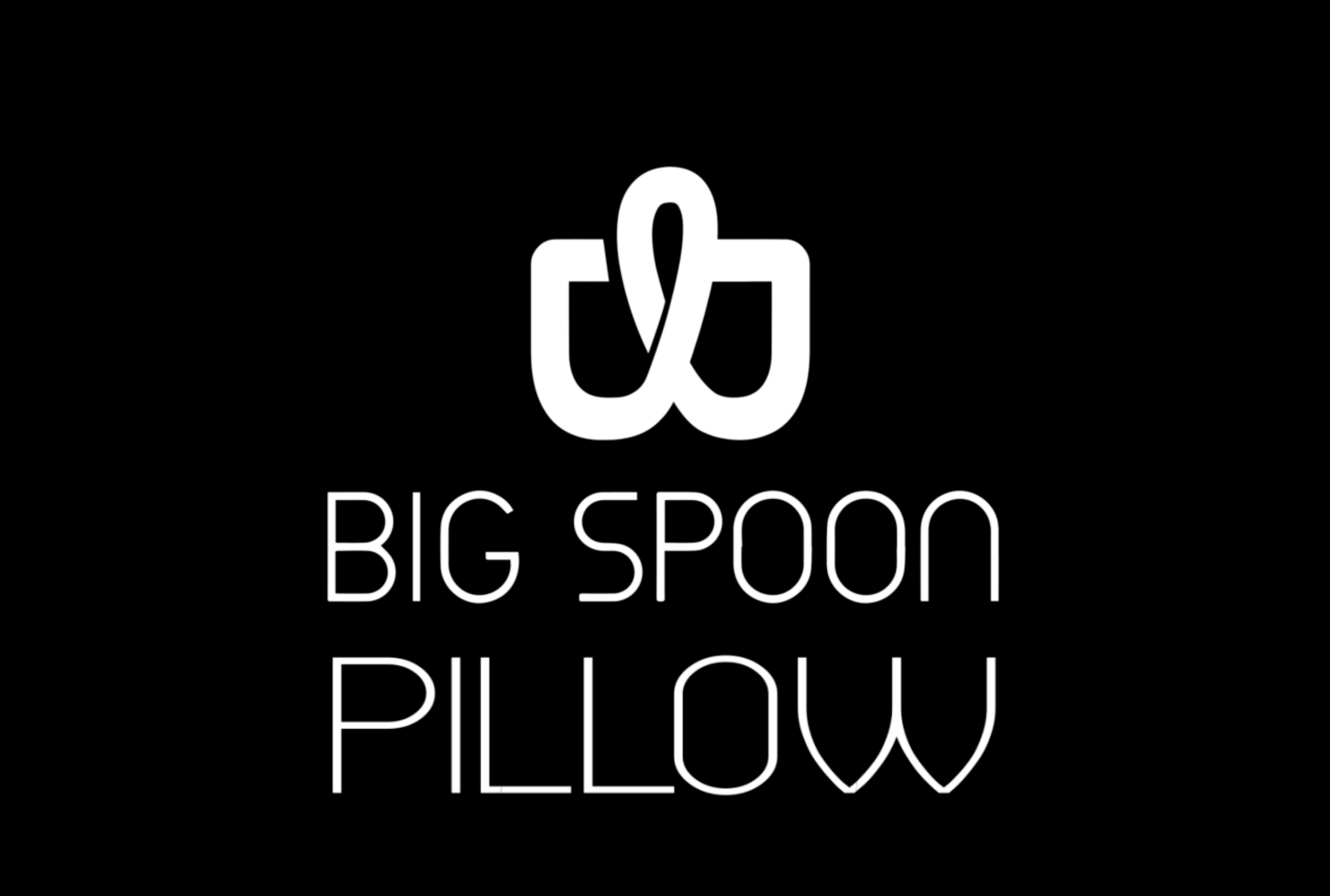 http://bigspoonpillow.com/cdn/shop/files/big_spoon_PILLOW_logo_2021_white_on_black.png?v=1678058427